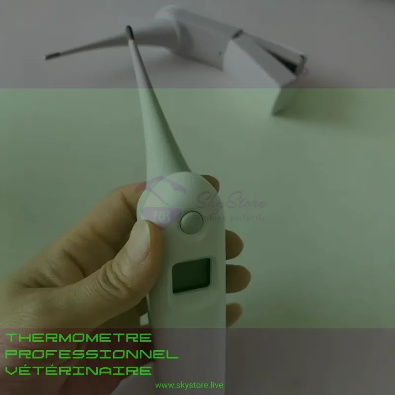 Untitled Project.webp