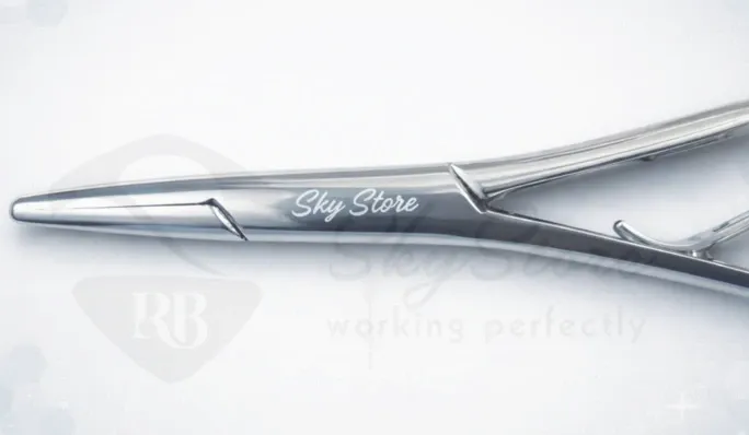 Untitled PBroject.webp