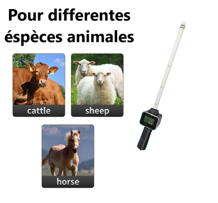 Détecteur de chaleur